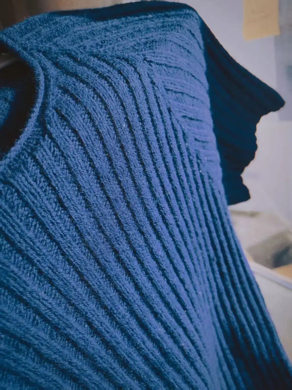 大學(xué)生寫家史︱志萍